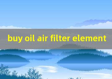 buy oil air filter element